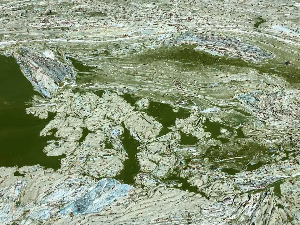 Eğirdir Gölü’nde Bulanıklaşma Riski 3